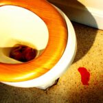 My Citrus Paradisiest Moment - Adrià Ginger