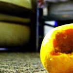 My Citrus Paradisiest Moment - Adrià Ginger