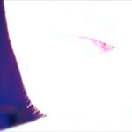 Hikikomori VS POP Machina - Adrià Ginger