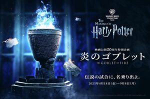 Warner Bros Harry Potter